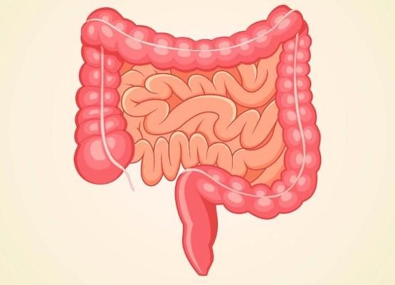 Constipation in Elderly People